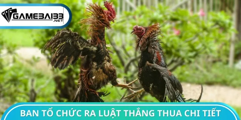Ban tổ chức ra luật thắng thua nghiêm ngặt