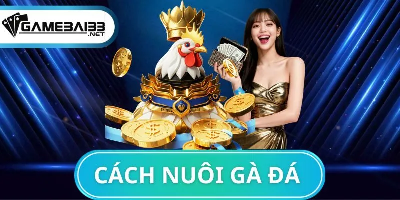 cách nuôi gà đá