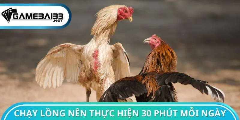 Chạy lồng nên thực hiện 30 phút mỗi ngày
