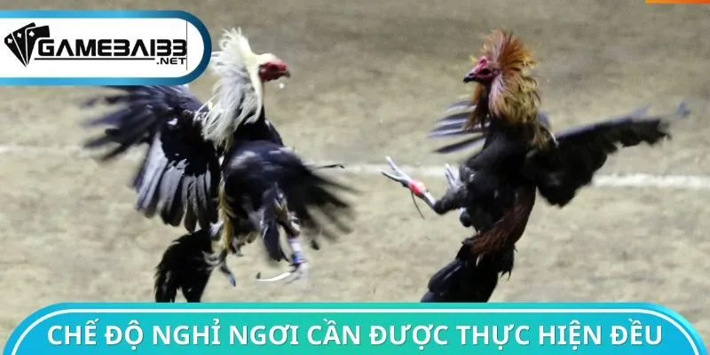 Chế độ nghỉ ngơi cần được thực hiện đều đặn