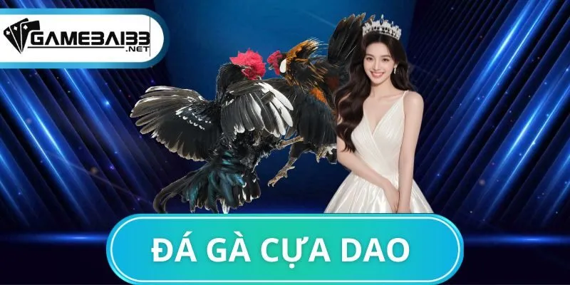 đá gà cựa dao