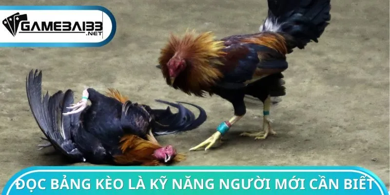 Đọc bảng kèo là kỹ năng người mới cần biết
