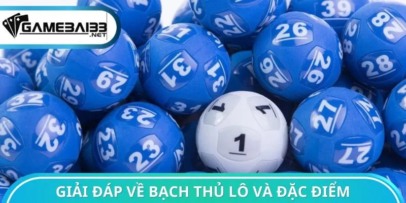 Giải đáp về bạch thủ lô và đặc điểm