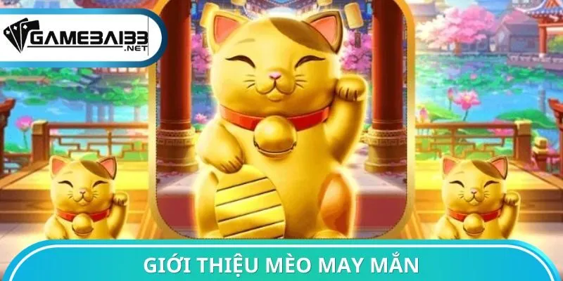 Giới thiệu Mèo May Mắn