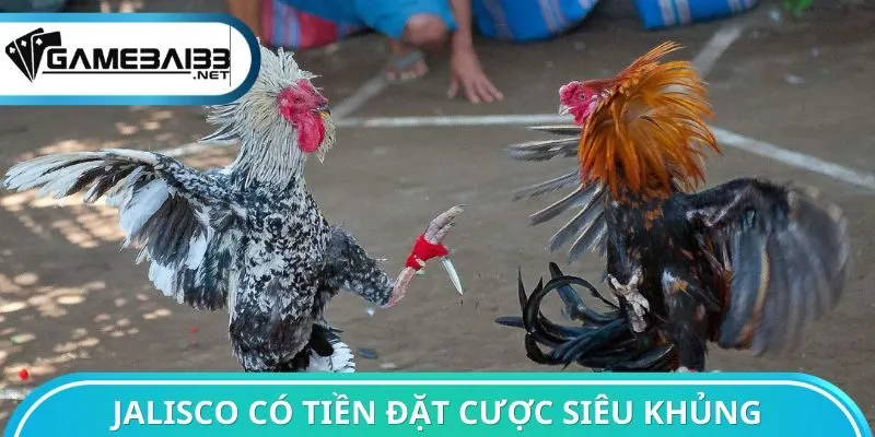 Jalisco có tiền đặt cược siêu khủng