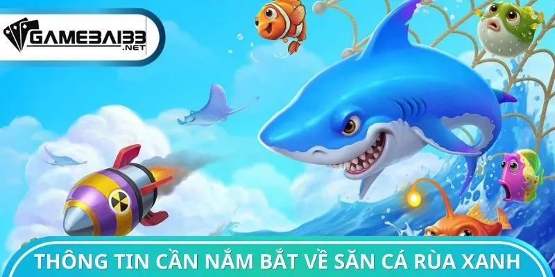 Thông tin cần nắm bắt về săn cá Rùa Xanh