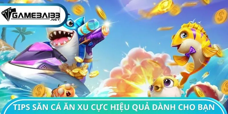 Tips săn cá ăn xu cực hiệu quả dành cho bạn